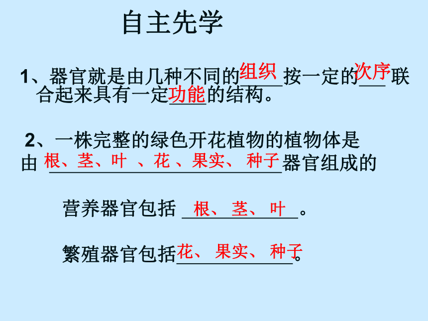 苏科版七年级下册生物 9.1植物体的组成 课件（21张PPT）