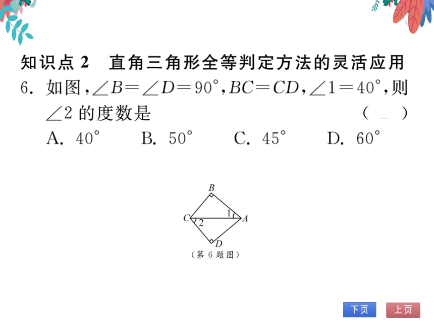 12.2第4课时用“HL”证两个直角三角形全等　习题课件