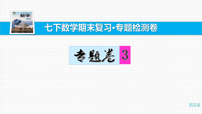 【湘教七下数学期末复习23卷】17.专题卷（三） 整式乘法与因式分解的有关计算 课件（共14张PPT）