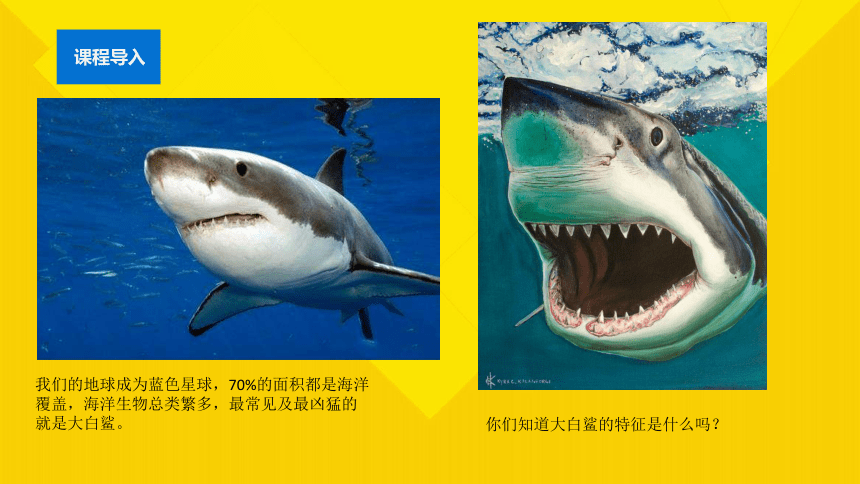 小学中中年级课后服务 少年学漫画--中级课程 08 动物形象-冲浪的大白鲨(共12张PPT)