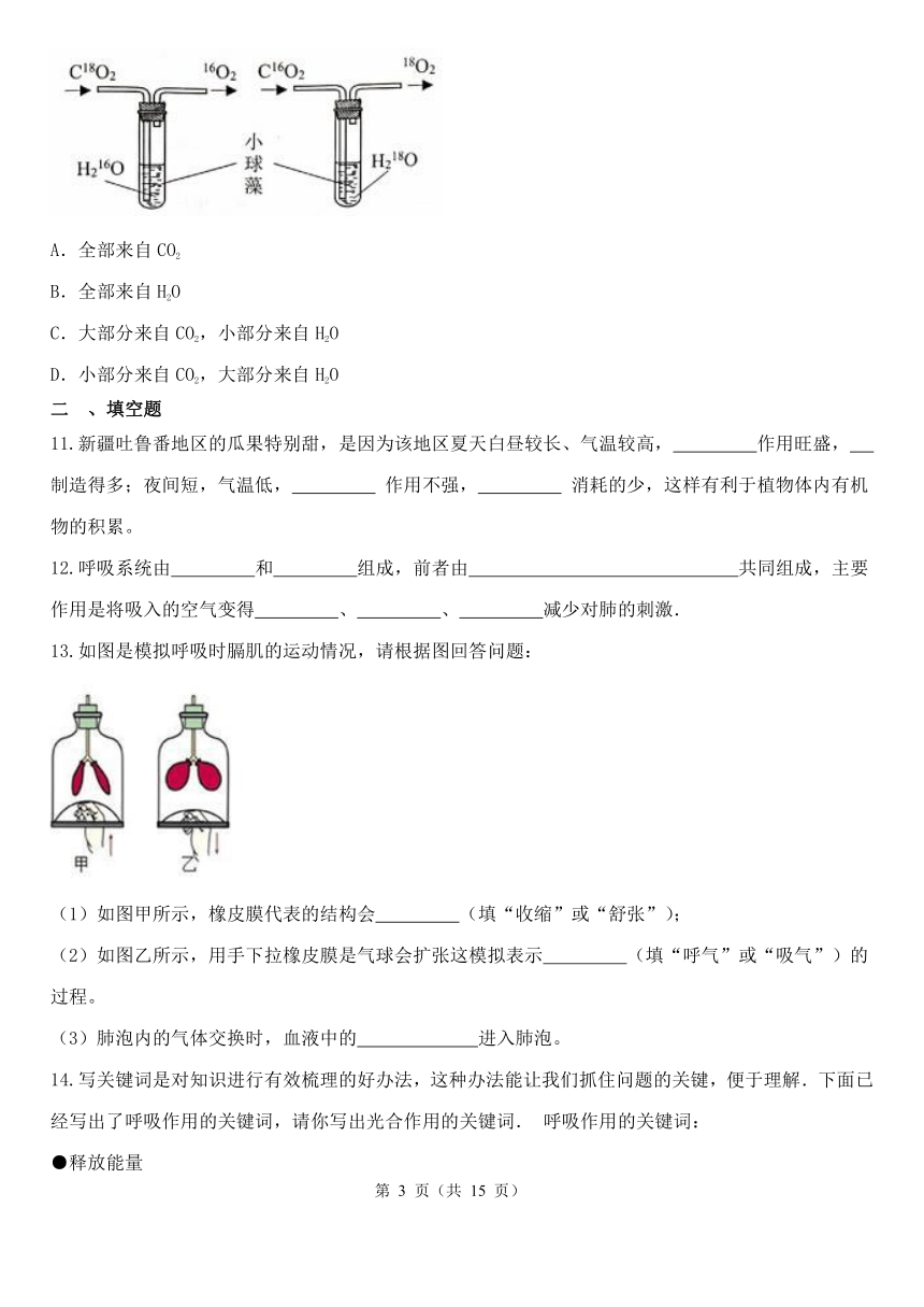 第3章 空气与生命 综合训练（3.5-3.6，含解析）