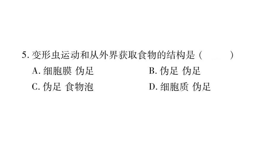 3.2 细胞是生命活动的单位-作业课件-2020年秋北师大版七年级上册生物(共30张PPT)