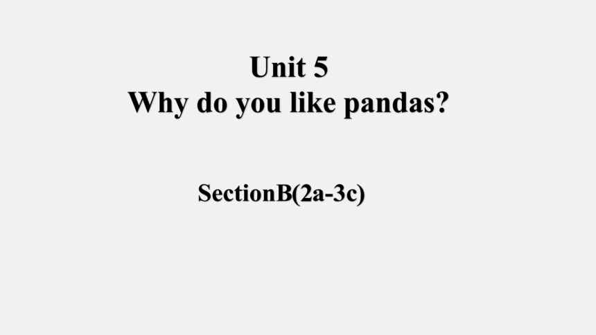 Unit 5 Why do you like pandas? Section B (2a~3c) 课件(共25张PPT，无音频)- 2023 ...