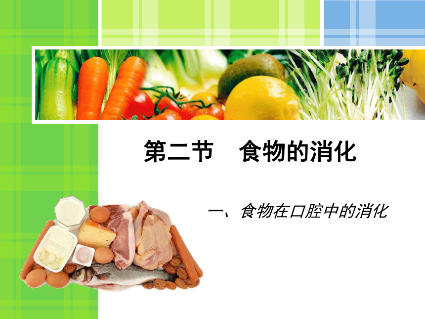 2021--2022学年冀少版七年级生物下册2.1.2食物的消化（一）食物在口腔中的消化课件(共20张PPT)