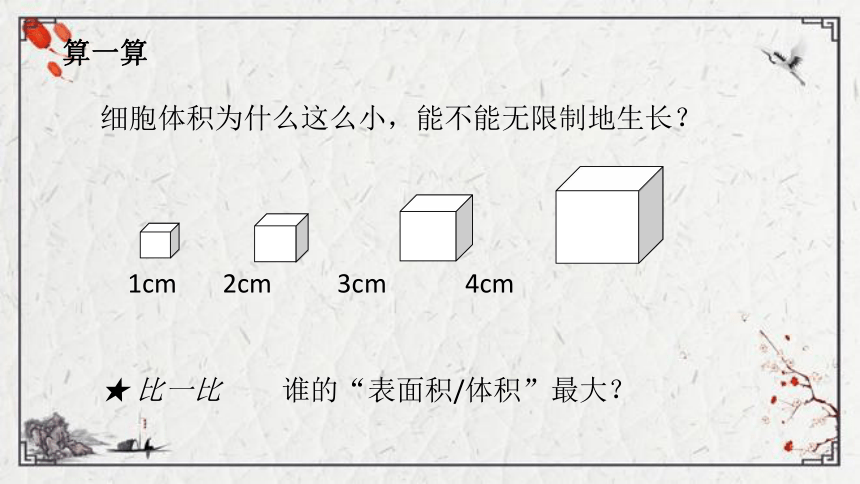 【学优课堂】初中生物人教版七年级上册 2.2.1细胞通过分裂产生新细胞课件（21张PPT)