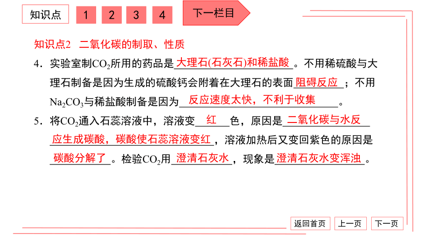 【期末复习】人教版化学九上 第六单元 碳和碳的氧化物 复习卷 习题课件