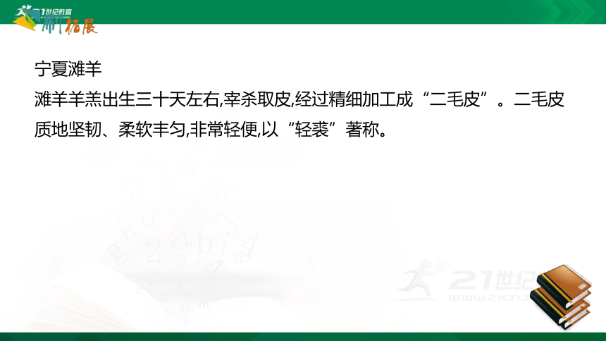 第八章  西北地区 课件（共25张PPT）