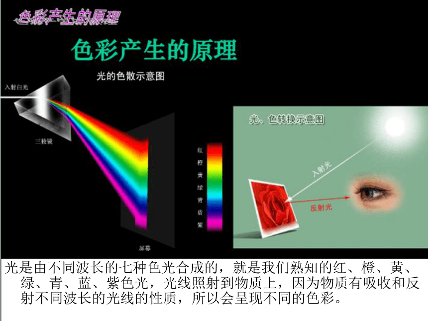 第六课大自然的色彩 2022-2023学年人美版七年级美术上册(共35张PPT)