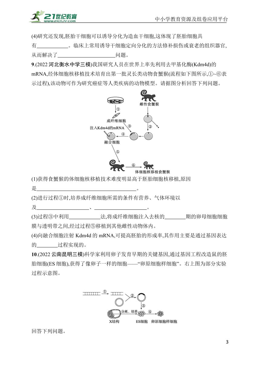 高中生物课时规范练36　胚胎工程及生物技术的安全性与伦理问题(学生版含答案详解)