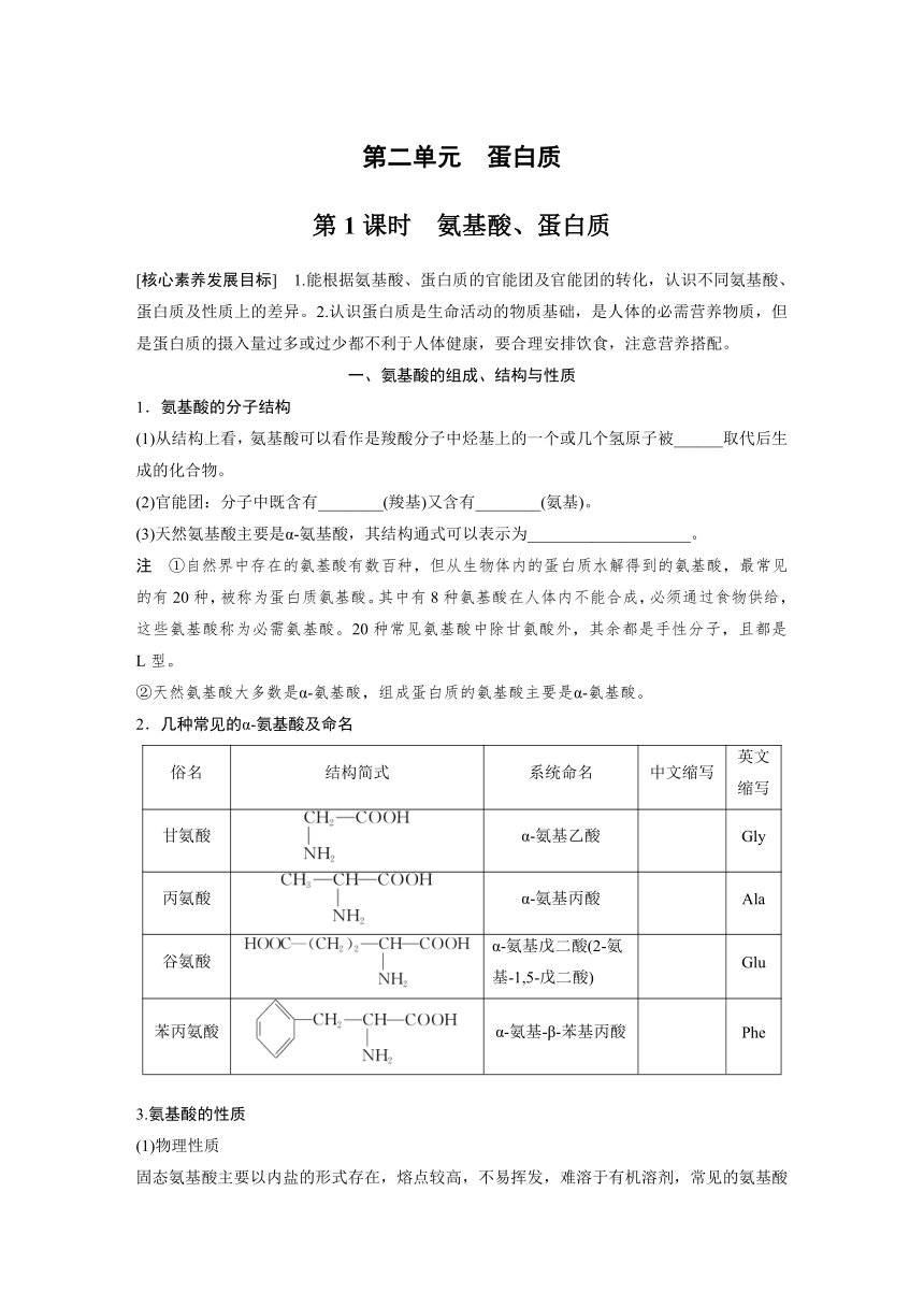 专题6 第二单元 第1课时　氨基酸、蛋白质 学案（含答案）