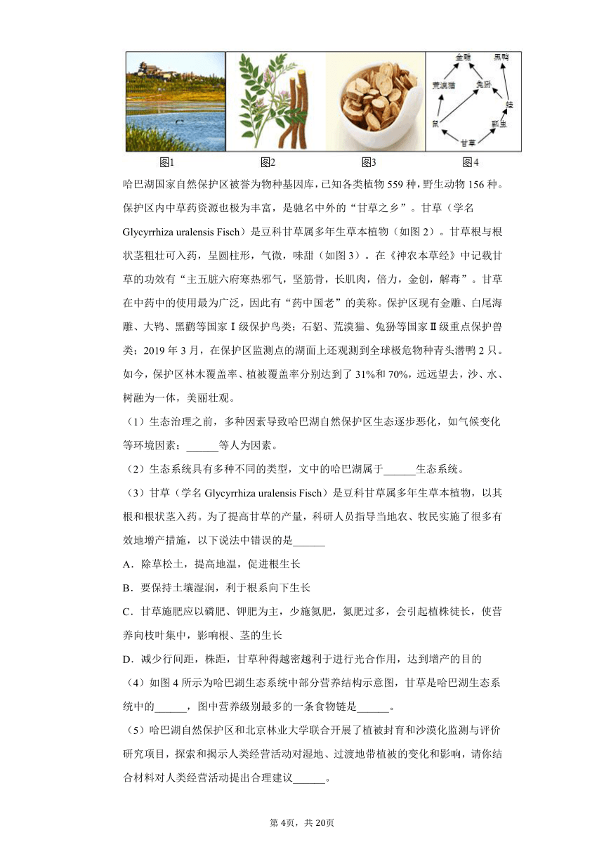 济南版八年级生物下册6.2.4 生态系统的类型同步练习卷（word版，含解析）