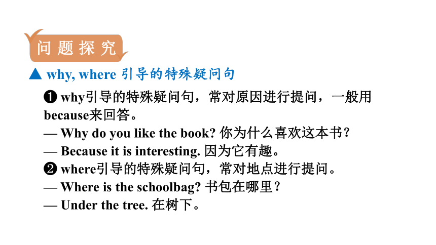 人教新目标(Go for it)版七年级下Unit 5 Why do you like pandas?　Section A (Grammar Focus－3c) 课件（17张PPT）