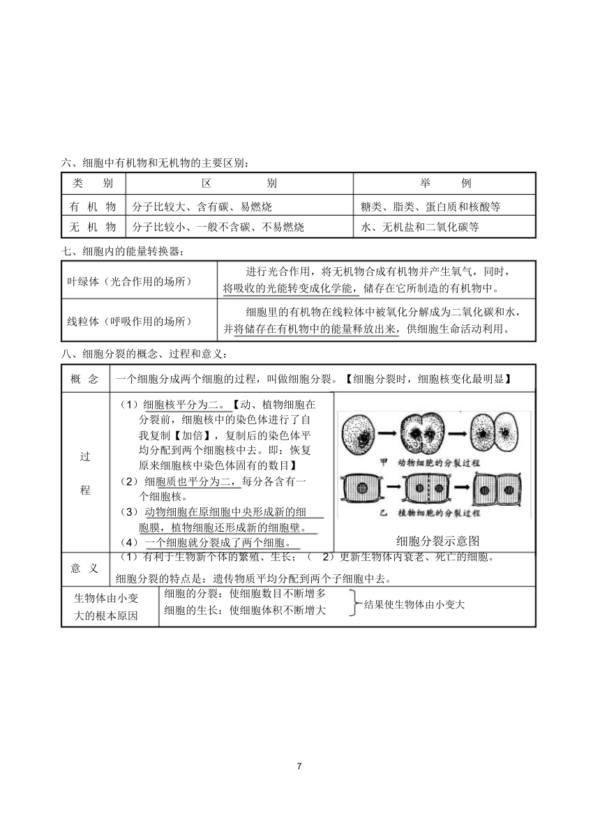 中考生物知识点总结（11个专题）（69节PPT）