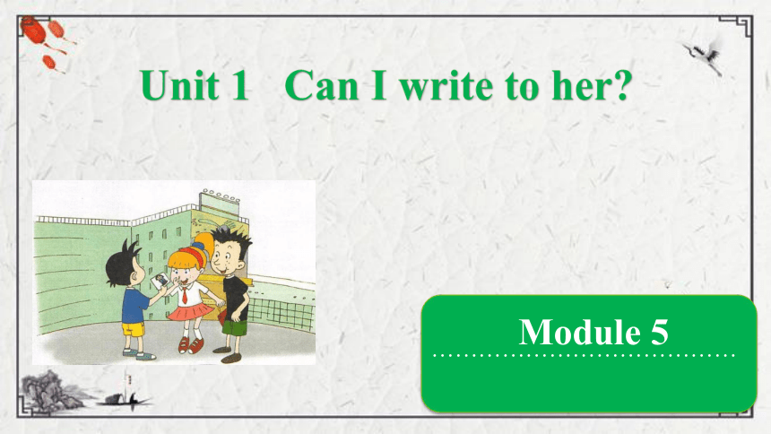 Module 5 Unit 1 Can I write to her课件（16张PPT)