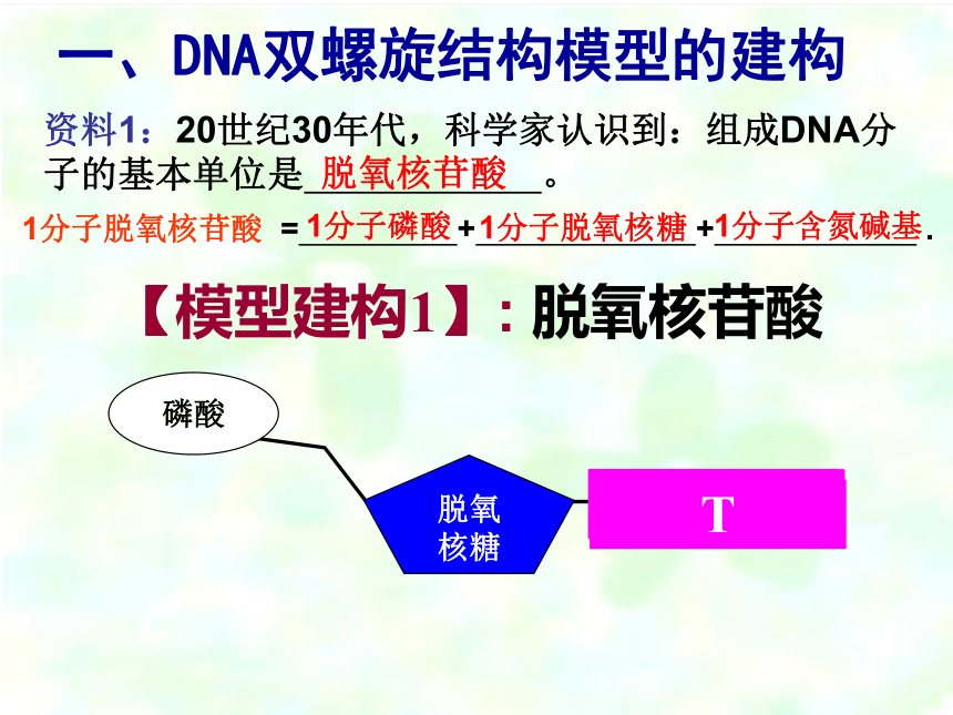 3.2DNA分子的结构课件2021-2022学年高一下学期生物人教版必修2(共19张PPT)