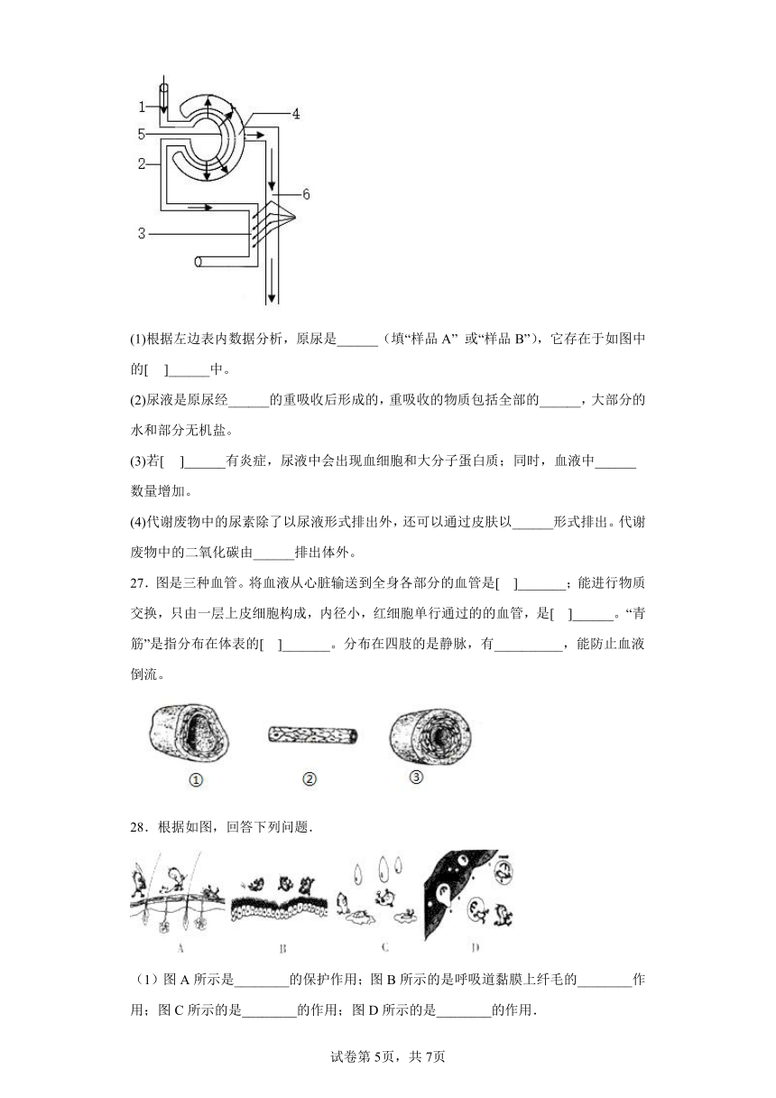 济南版生物七年级下册期末检测夯实基础强化训练试题3（含解析）