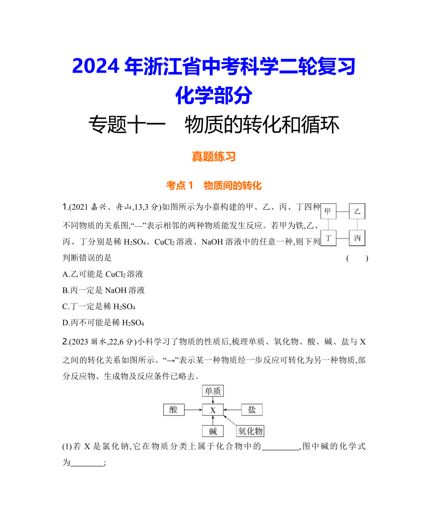 2024年浙江省中考科学二轮复习化学部分：专题十一 物质的转化和循环练习（含答案）