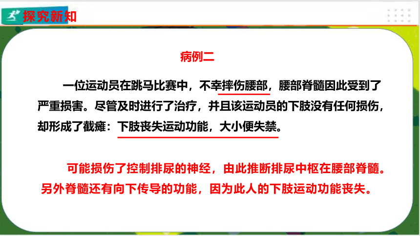 4.6.2神经系统的组成课件(共23张PPT)