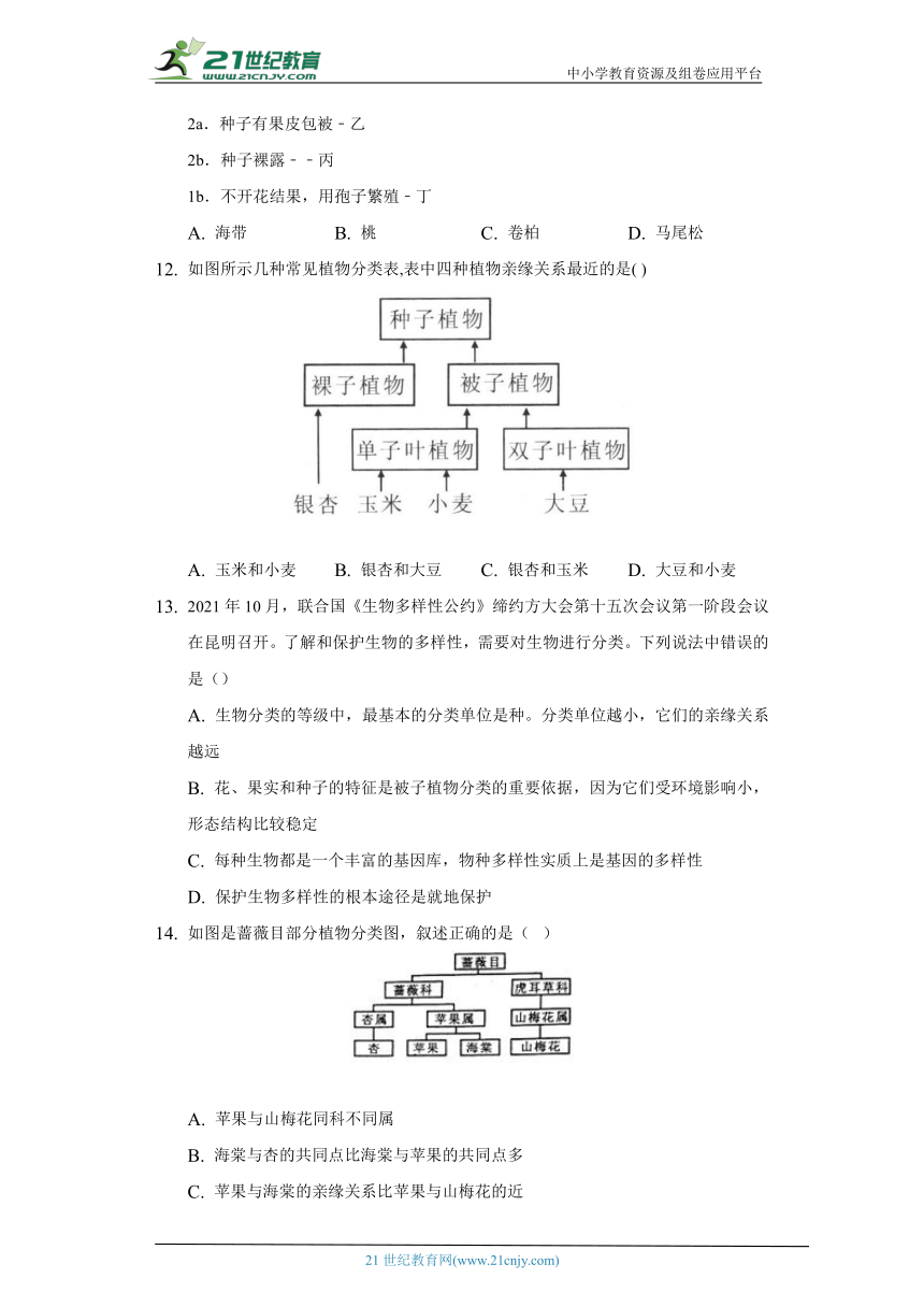 苏教版初中生物八年级上册14.4生物的分类 同步练习（含答案解析）