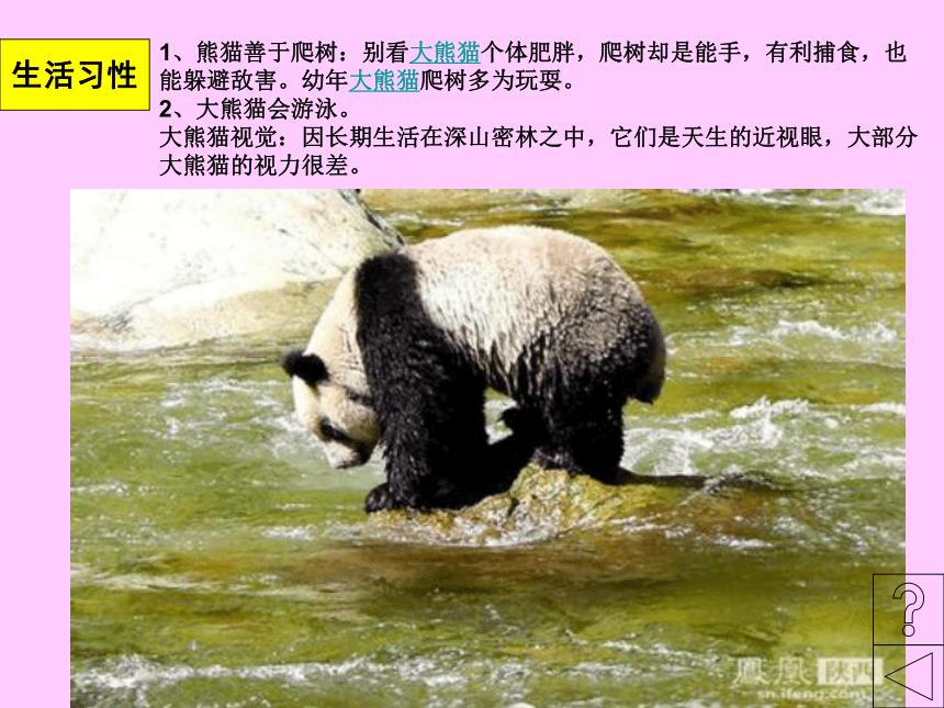 辽海版 二年级下册美术 第22课 熊猫的家 课件（22张PPT）