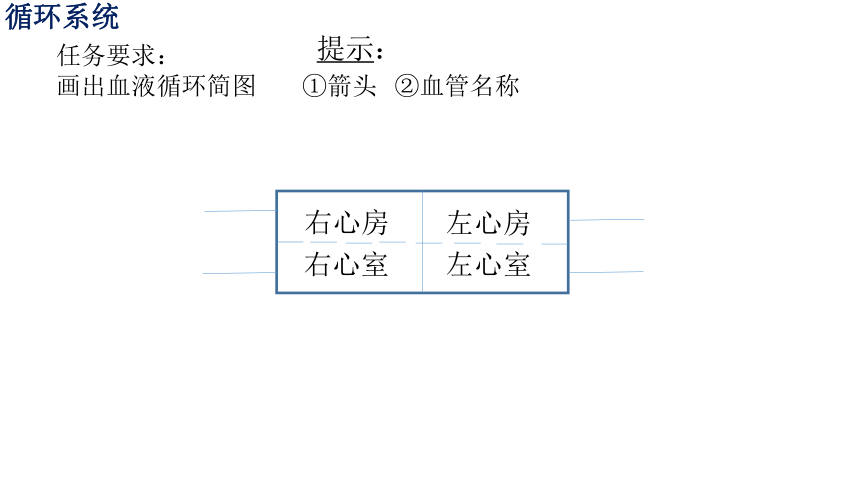 七年级期末人体系统综合复习