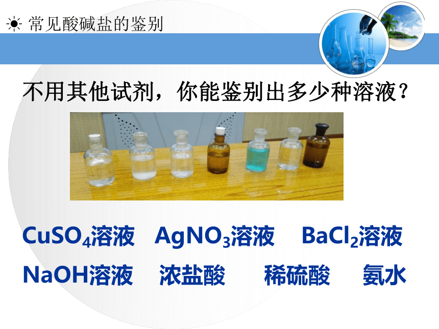 中考二轮专题复习 常见酸碱盐的鉴别 课件 （18张PPT）