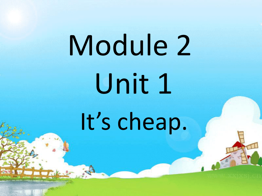 module 2 unit 1 it's cheap 课件（17张PPT）