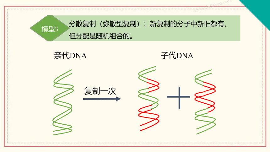 3.3 DNA通过复制传递遗传信息 (共31张PPT)（有1份视频） 高中生物 浙科版 必修二