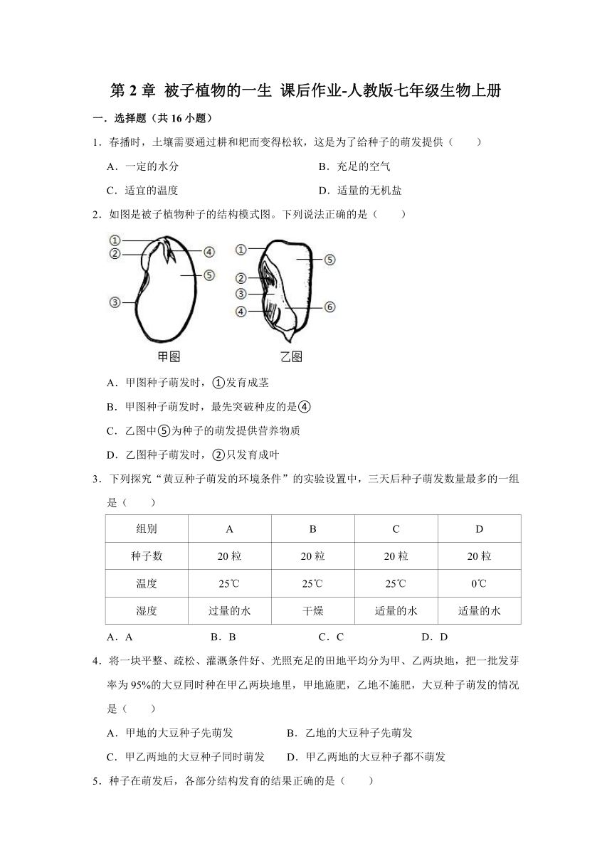 第2章 被子植物的一生 课后作业-人教版七年级生物上册（含答案）