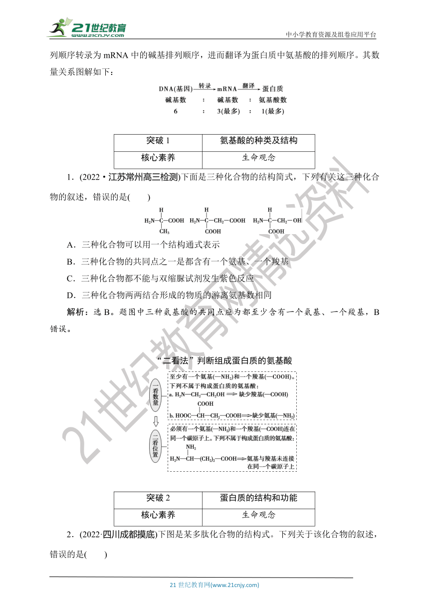 【考点梳理  生物总复习 】3第3讲　蛋白质和核酸（Word版含答案）