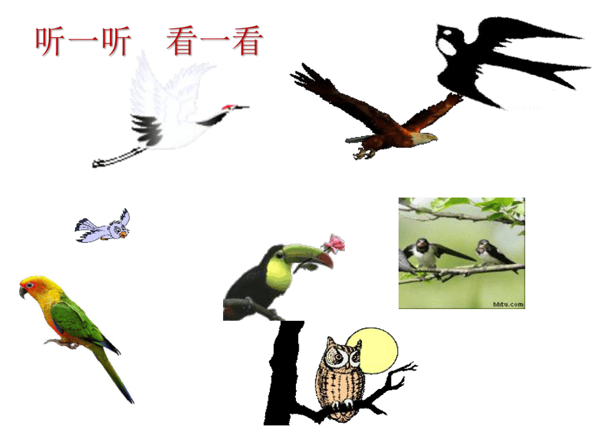 苏少版四年级美术下册课件-第8课　鸟的纹样(共17张PPT)
