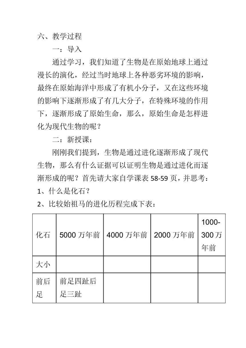 苏教版初中生物八年级上册  5.16.2 生物的进化历程 教案