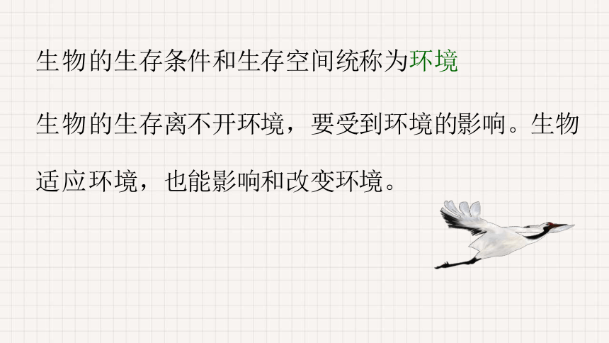 1.1.2 生物与环境的相互影响 课件(共29张PPT)北师大版生物七年级上册