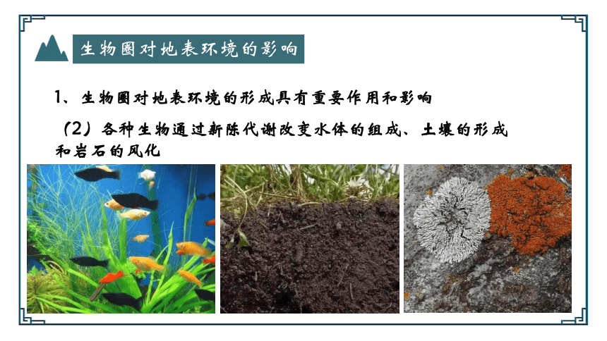 2.3生物圈与植被课件 (共51张PPT)
