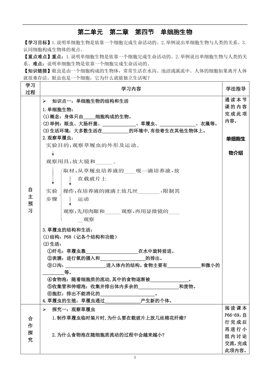 2022-2023学年度七年级第一学期生物同步课程2.2.4 单细胞生物 导学案（无答案）