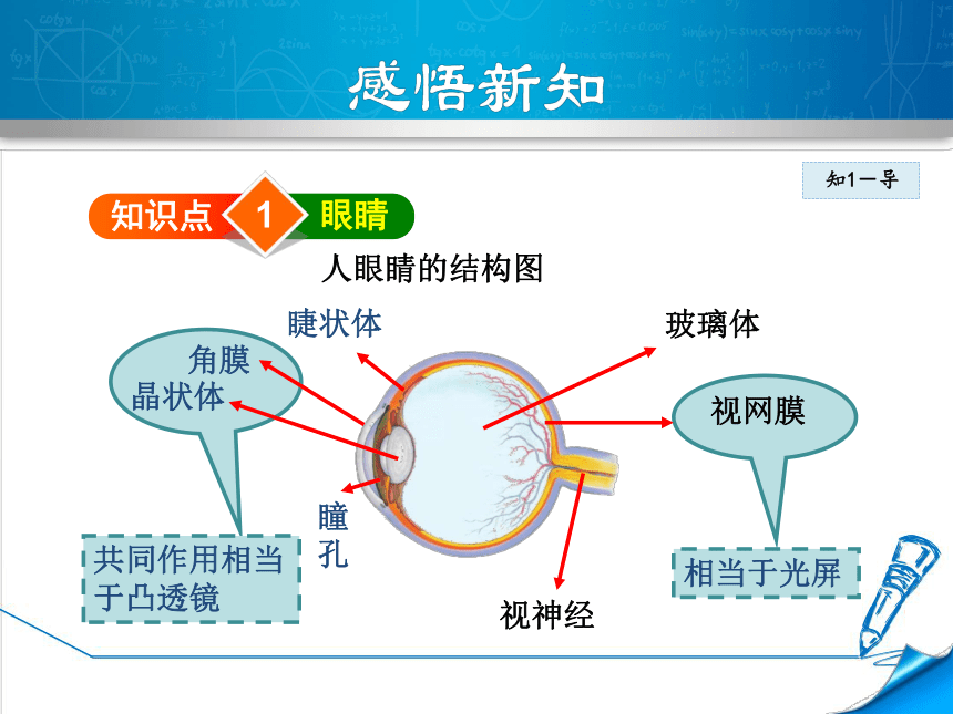 粤沪版物理八年级上册 3.7.1 眼睛与眼镜 课件（共28张PPT）+素材