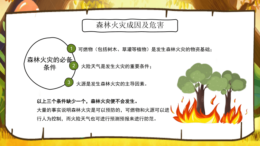 初中主题班会森林防火知识 课件 (共23张PPT)