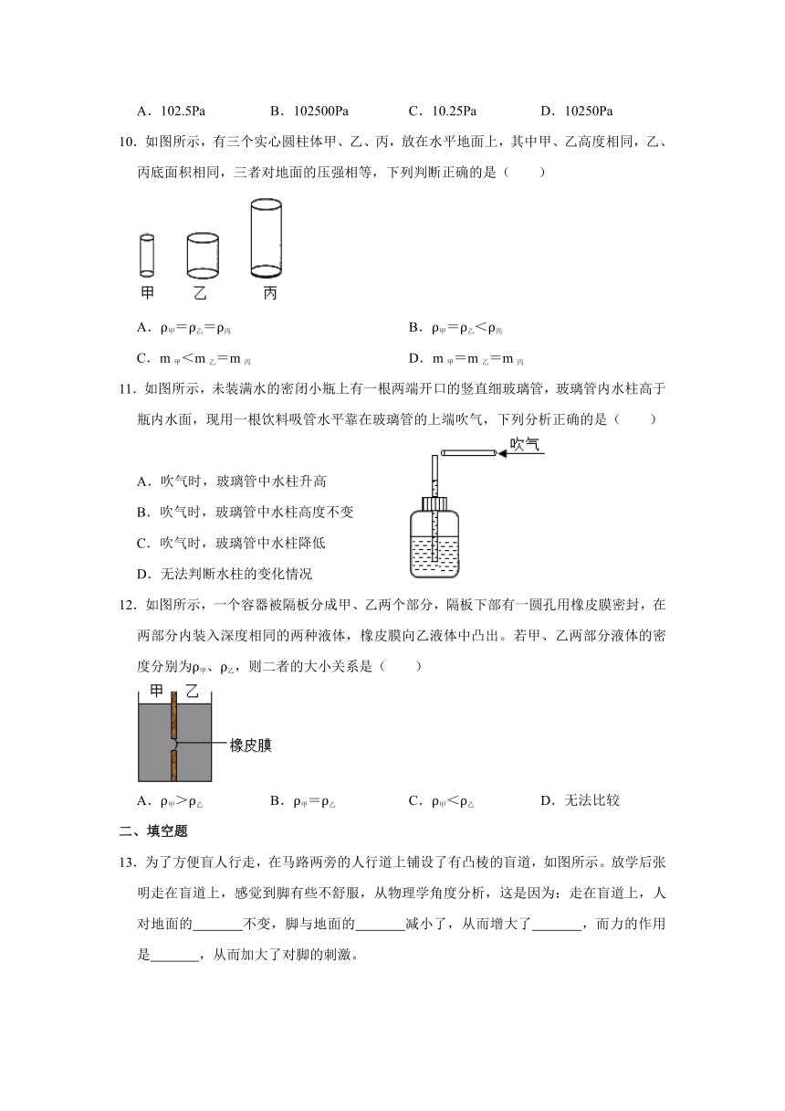 第九章 压强 章末基础达标试题（含答案）