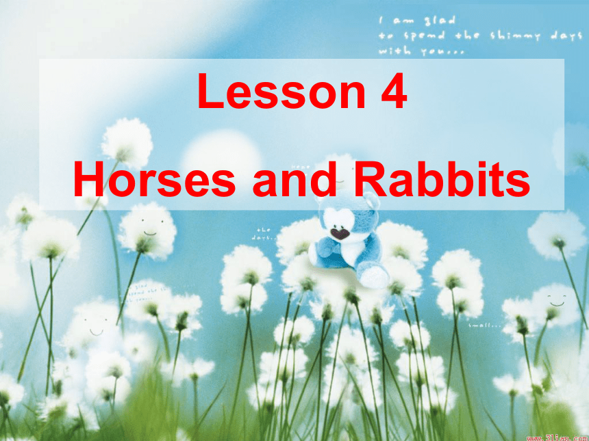 Unit 1 Lesson 4 Horses and Rabbits 课件（29张PPT）