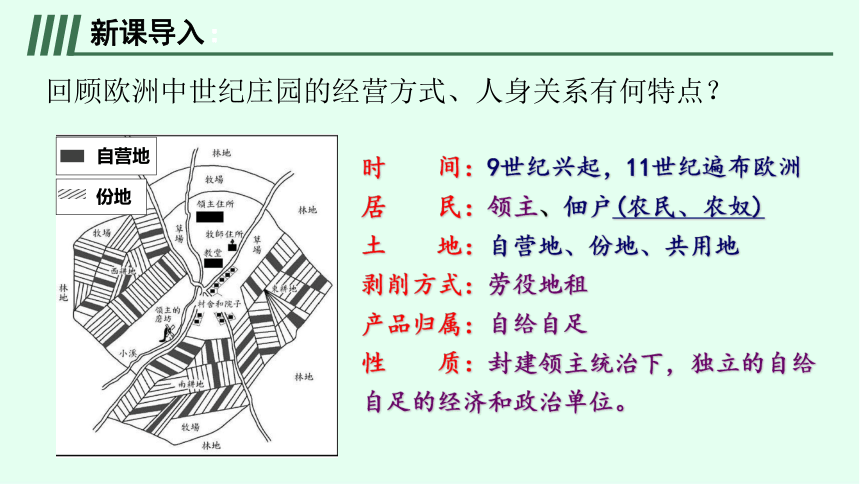 第13课 西欧经济和社会的发展 课件（22张PPT）