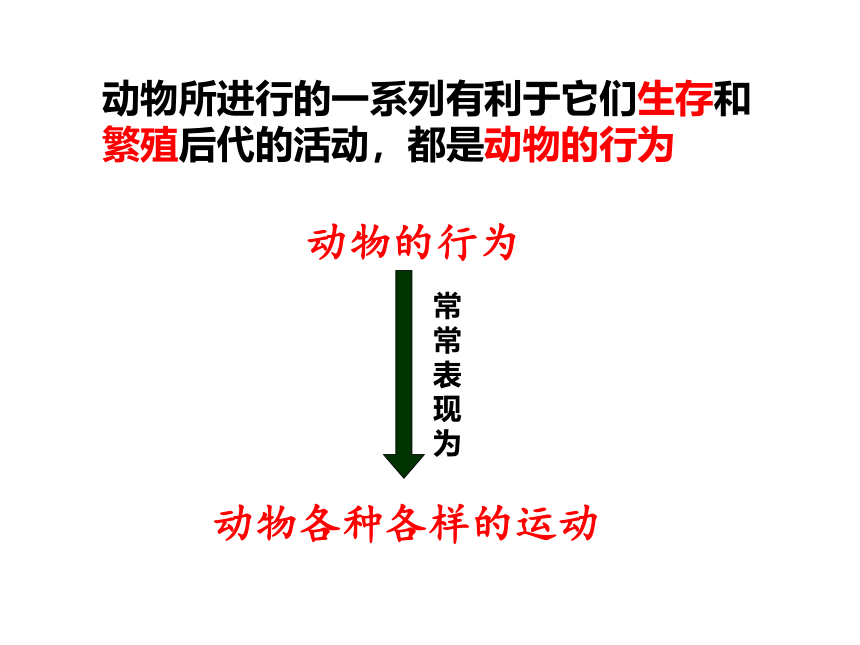 第二章第一节动物的运动 课件(共35张PPT)2021--2022学年人教版八年级生物上册