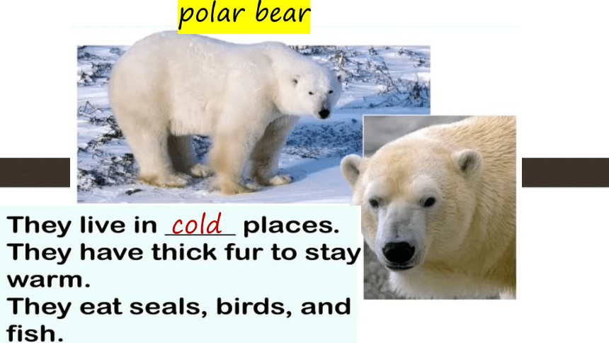 Unit 5 Nature and Culture Lesson 3 课件 (共32张PPT)
