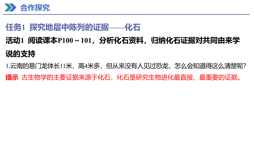 6.1 生物有共同祖先的证据 课件(共27张PPT) 2023-2024学年高一生物人教版（2019）必修第二册