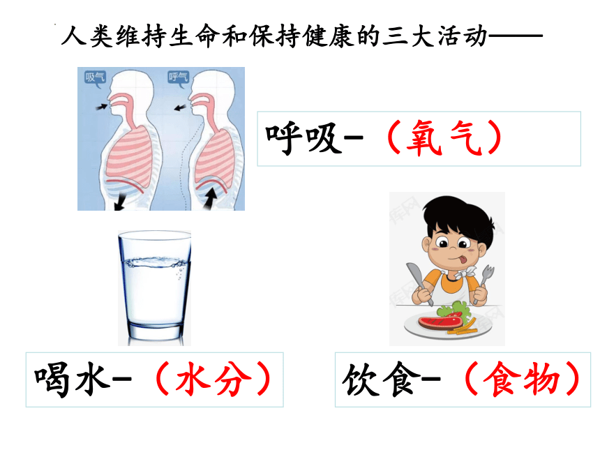 教科版（2017秋）科学四年级上册2.4 一天的食物 课件（15张PPT）