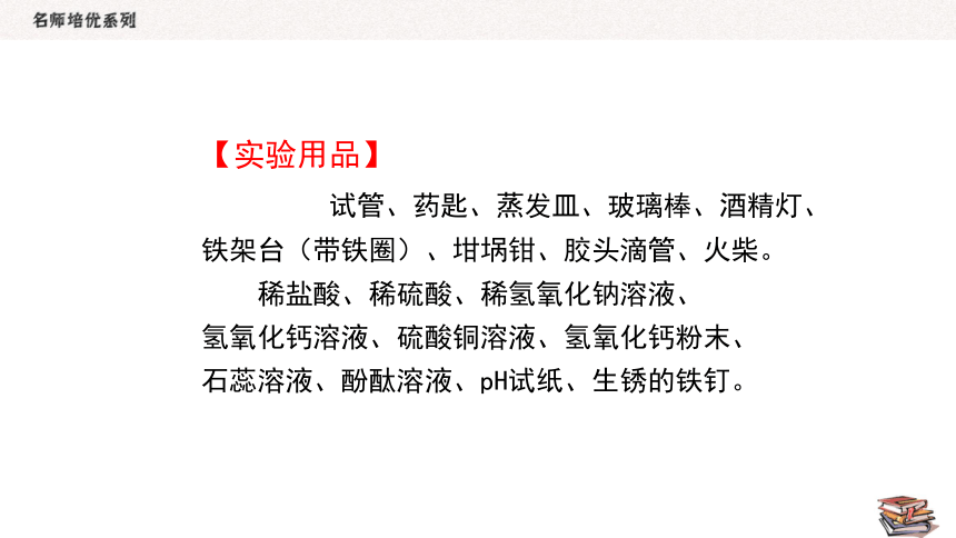 人教版化学九年级下册  10.3实验活动6  酸、碱的化学性质  同步课件（11张PPT）