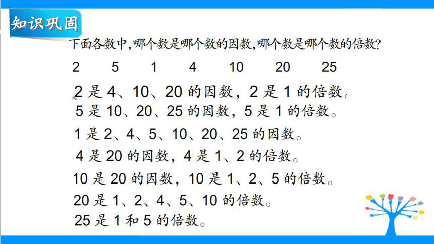 五年级下册数学课件  因数、倍数和分数整理复习 苏教版 (共19张PPT)