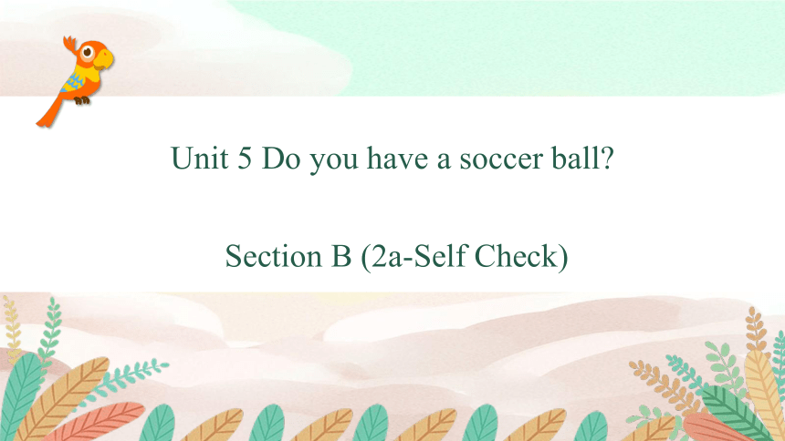 Unit5 Do you have a soccer ball？Section B 2a-Self Check 课件25张PPT