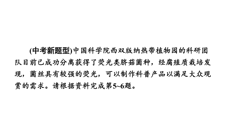 2023年中考生物复习专题★★★细菌和真菌病毒课件(共23张PPT)