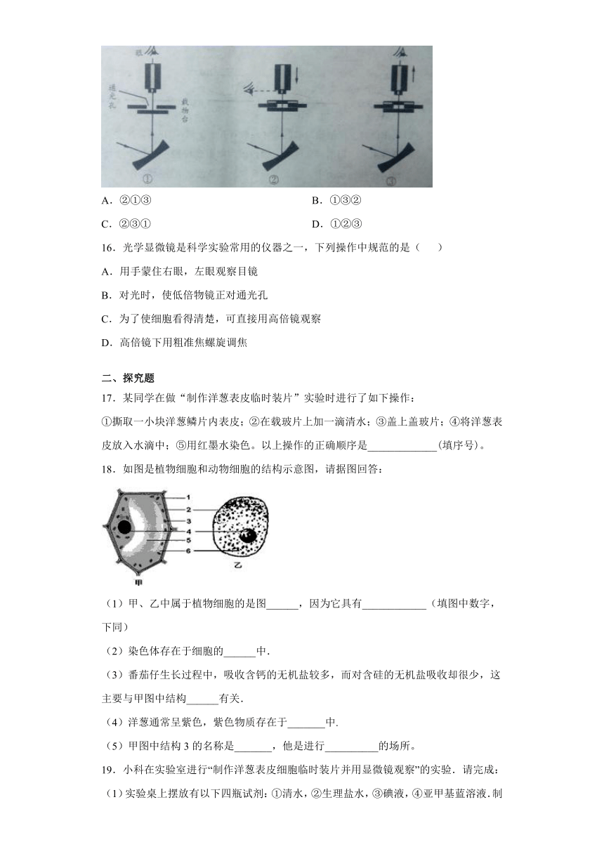 2.2 细胞 同步练习（含解析）