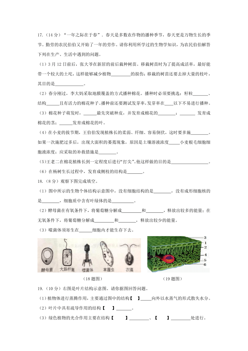 【期末复习】生物八年级上册  期末模拟卷（基础卷）（原卷+答题纸+答案）